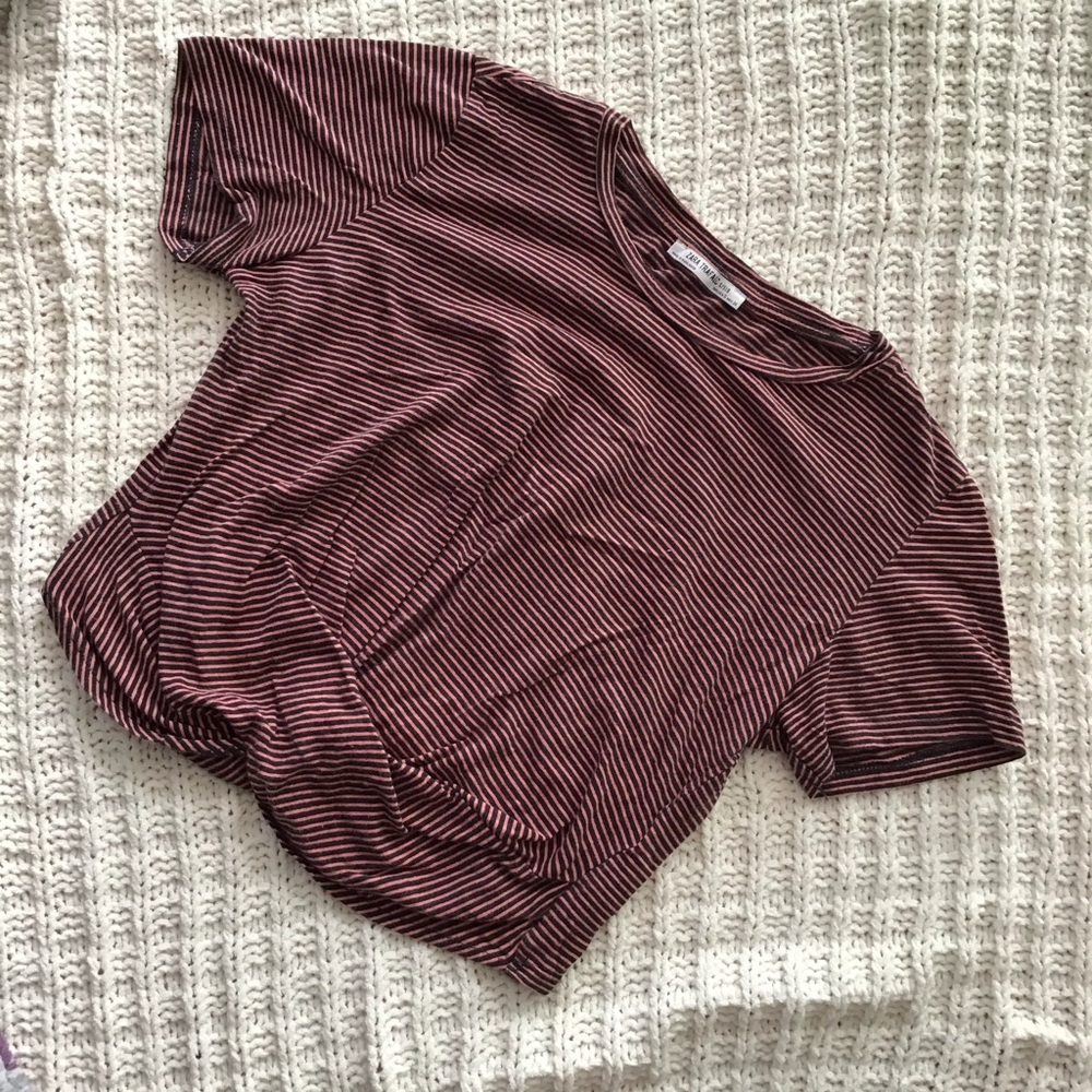 Zara Striped Crop Top